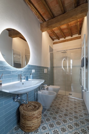 Shower, hair dryer, bidet, towels