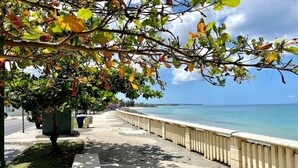 Una passeggiata costiera con ringhiera, alberi e una vista libera sull'oceano.