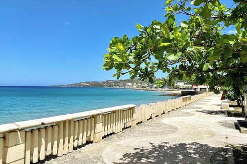 Ocean View Downtown Beach Paradise-Walk to Beach