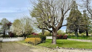 Un parc bordé d’arbres, avec un chemin de gravier et une pelouse.