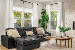 TV, fireplace, books