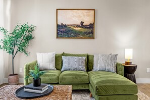 TV, fireplace, books