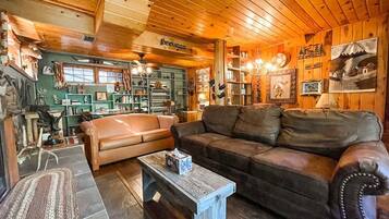 TV, fireplace, books