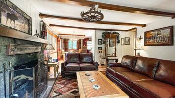 Televisión, chimenea y libros