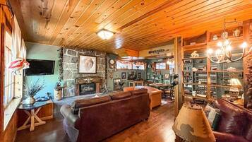 Televisión, chimenea y libros