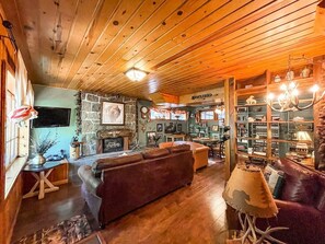 TV, fireplace, books