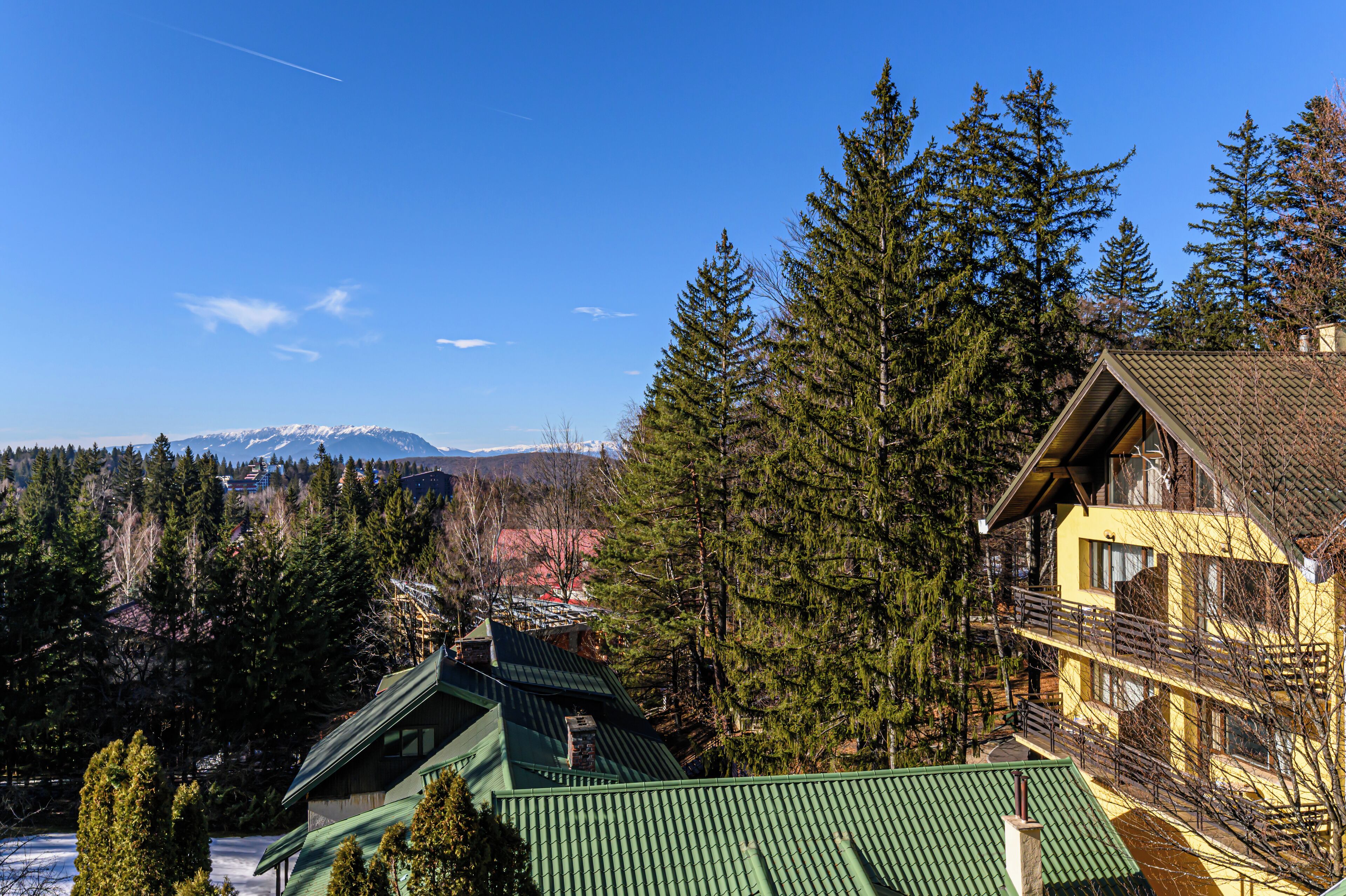 A mountain cabin with a green roof, surrounded by tall pine trees and a clear blue sky.