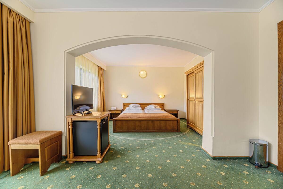 Ein Hotelzimmer mit Bett, Schreibtisch, Fernseher und Mülleimer.