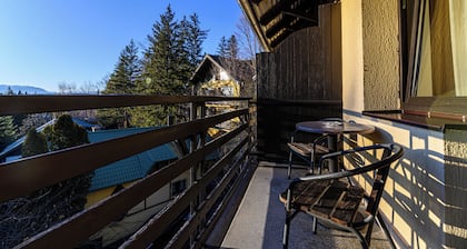 Hotel Casa Viorel