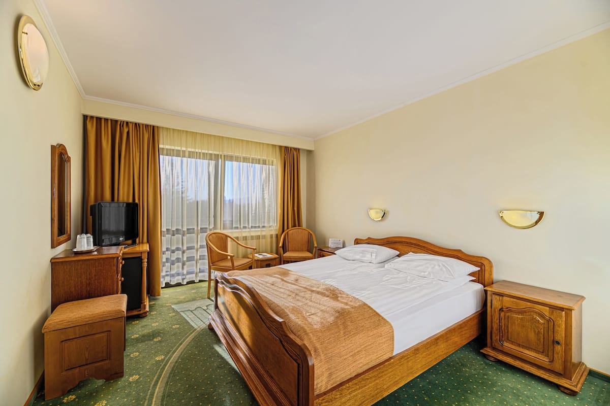 Standard Double Room, Balcony, Mountain View