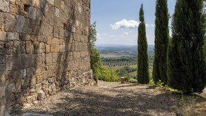 Un mur de pierre offrant une vue sur un vignoble et des collines lointaines.