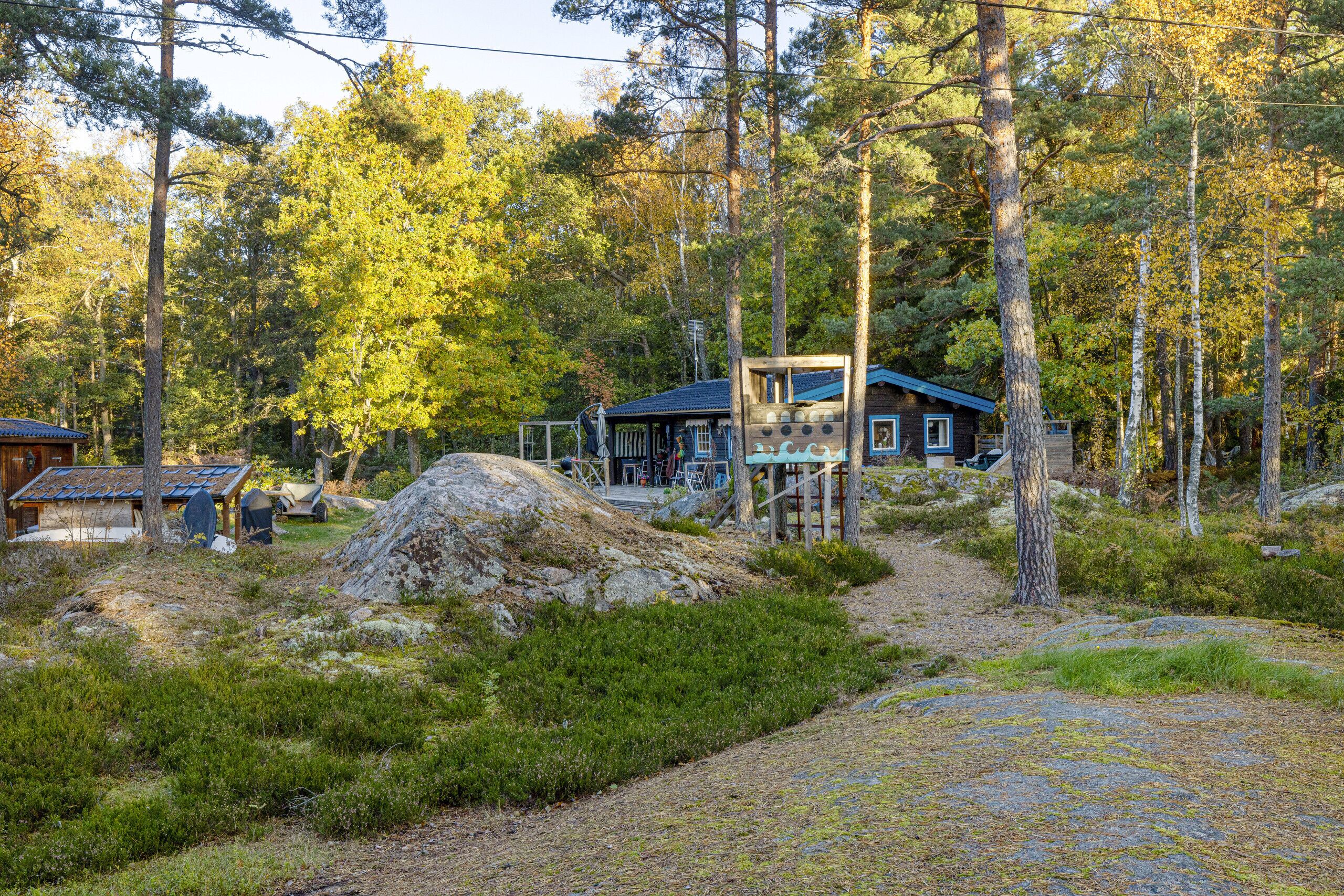 A cabin surrounded by a forest with a clear path leading to it.