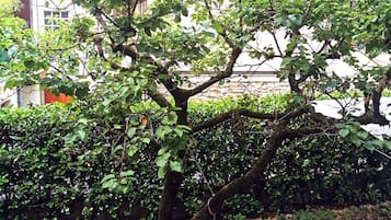 Quarto casal luxo, varanda, vista para o jardim | Wi-Fi de cortesia, roupa de cama