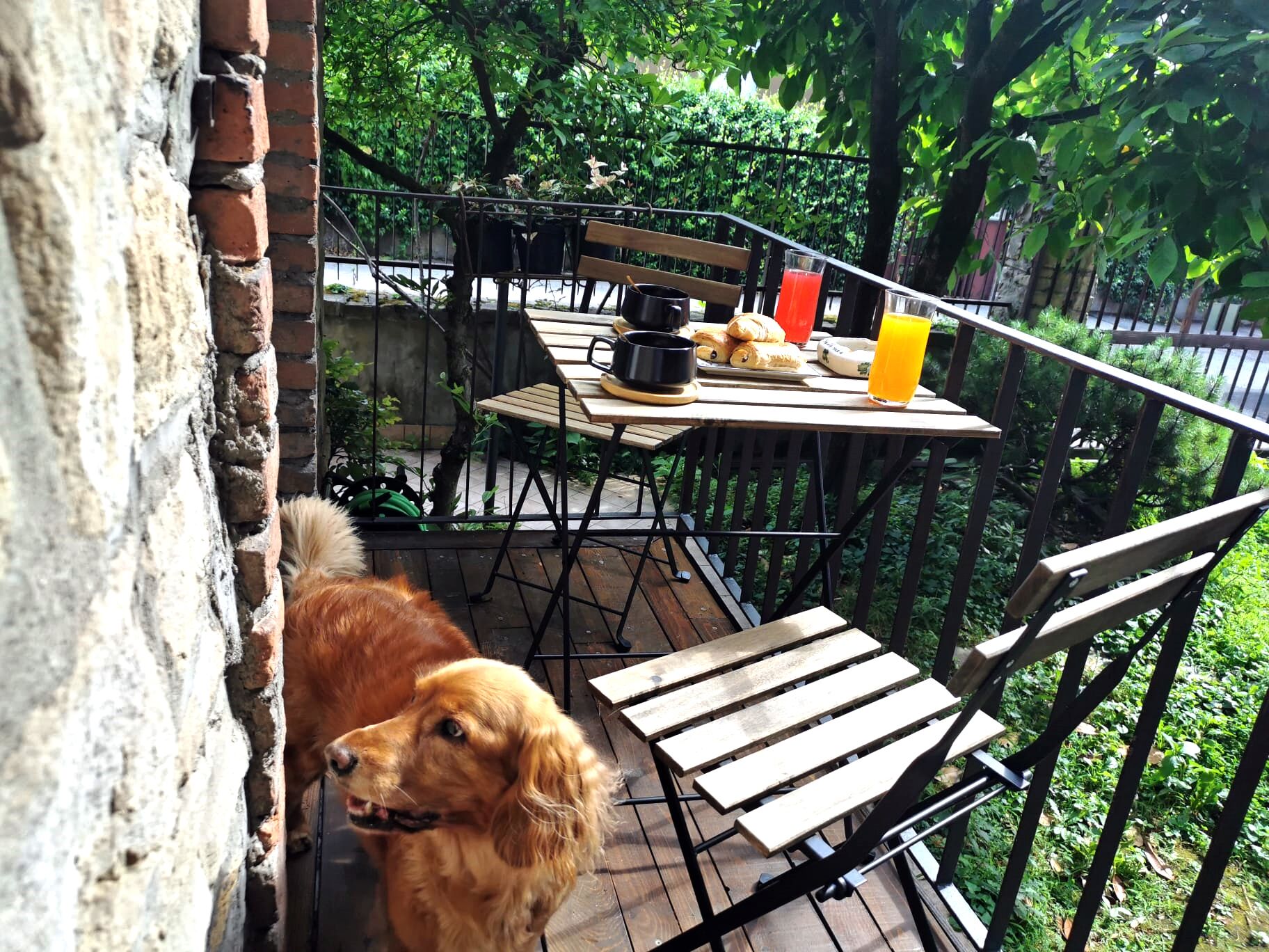 Deluxe Double Room, Balcony, Garden View | Terrace/patio