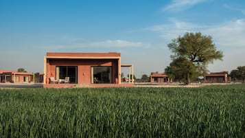 Building design
