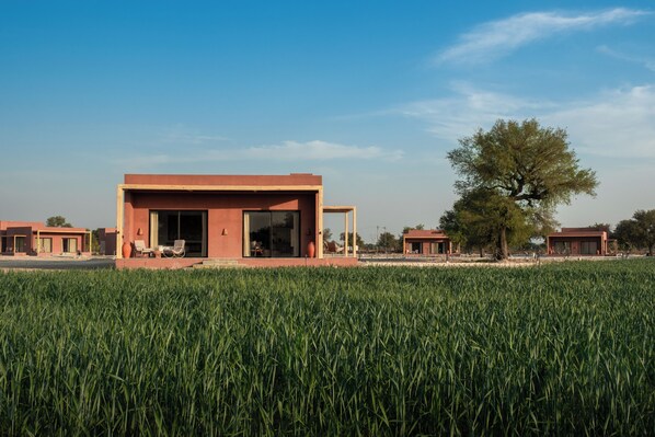 Building design - Mharo Khet (Jodhpur)