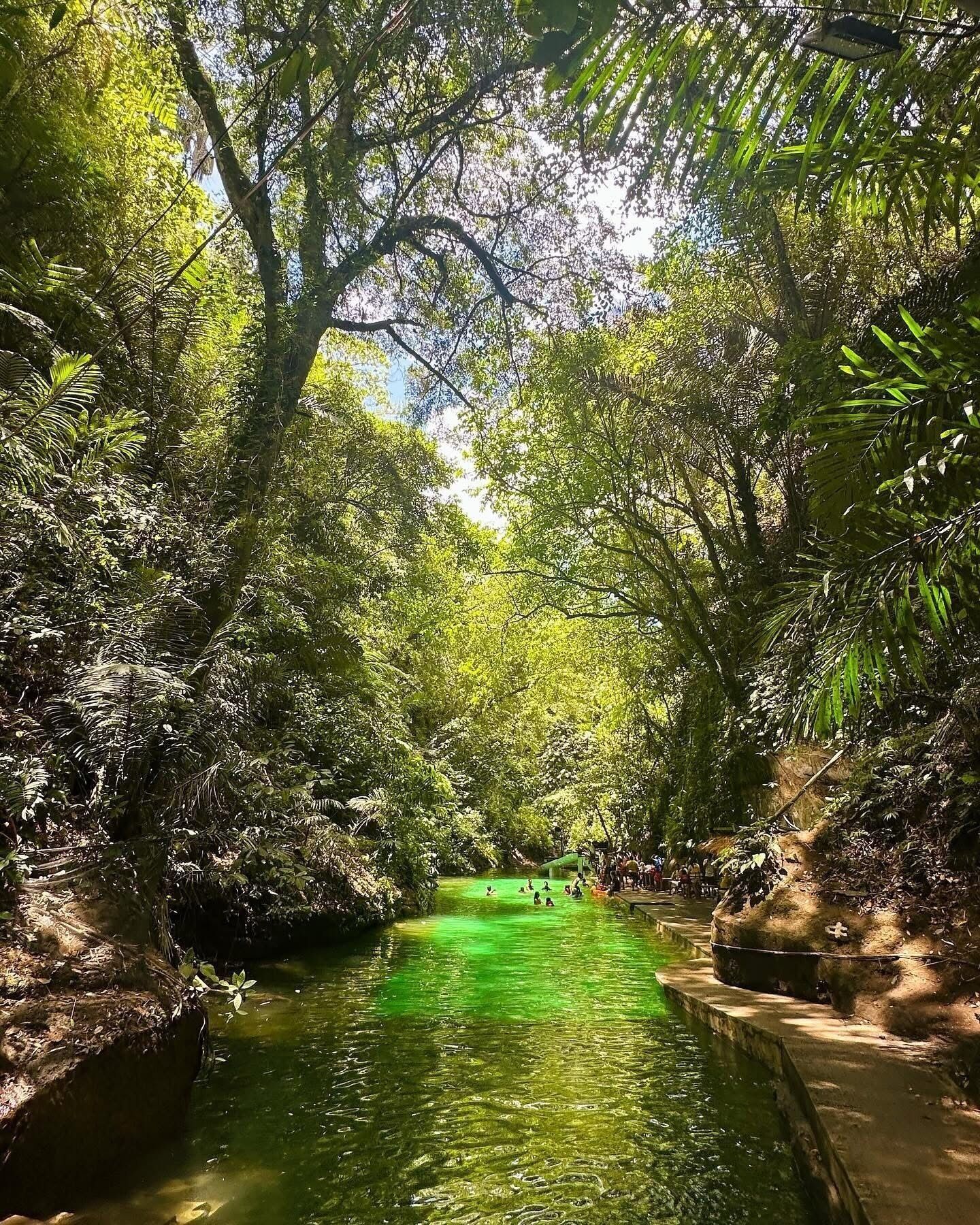 Masa de agua natural rodeada de vegetación densa, con un sendero a lo largo de la orilla.