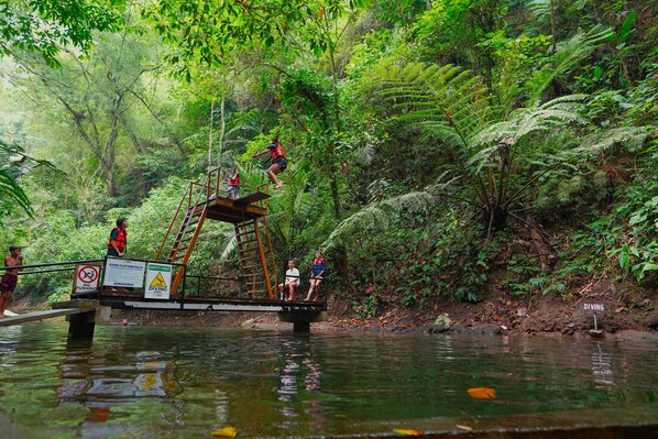 Una plataforma de madera para saltar al agua sobre un río rodeado de un bosque frondoso.