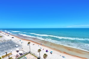 Une plage avec un parking, des parasols et des palmiers.