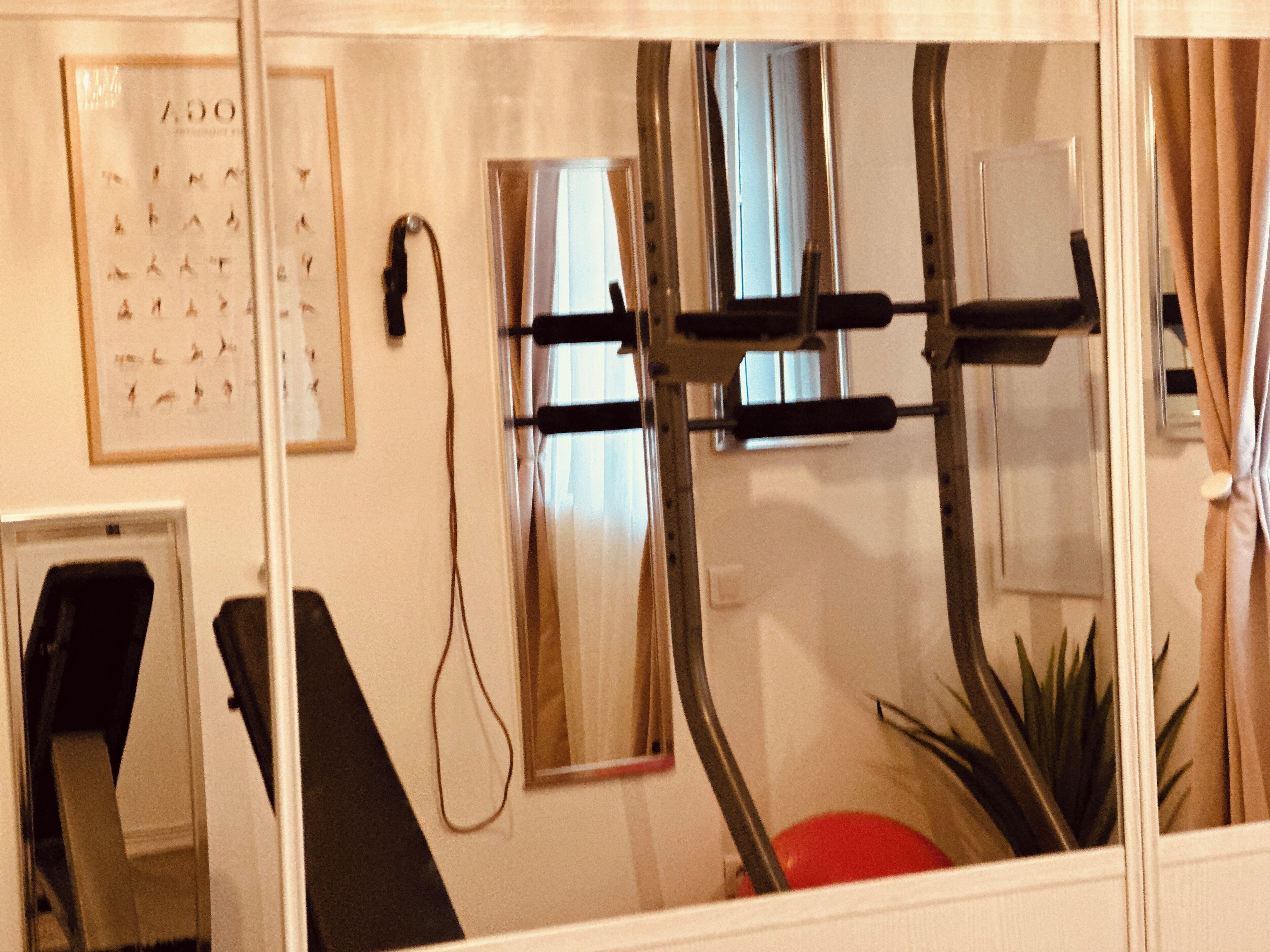 Une pièce équipée d’un tapis de course, d’un miroir, d’un tableau encadré accroché au mur et d’une plante en pot.