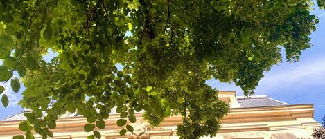 Detalle del exterior