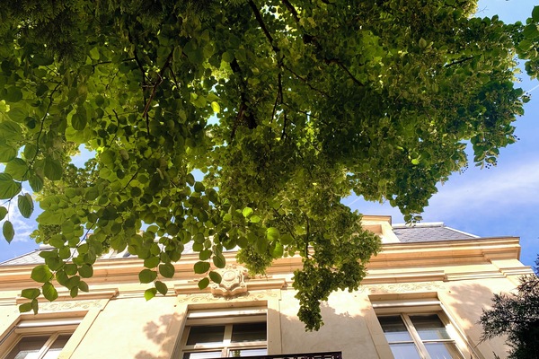 Detalle exterior