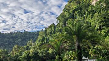 A swimming pool with clear water, surrounded by lush greenery and a mountainous backdrop.