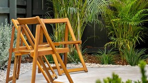 Un caballete de madera en un jardín al aire libre, con diversas plantas y un sendero de concreto.