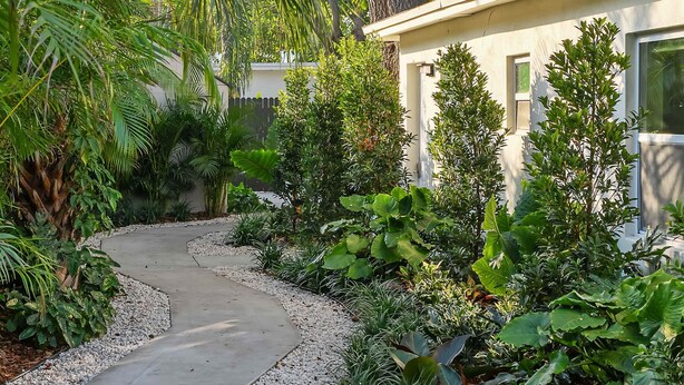 Un sendero conduce a un edificio rodeado de abundante vegetación y grandes árboles.