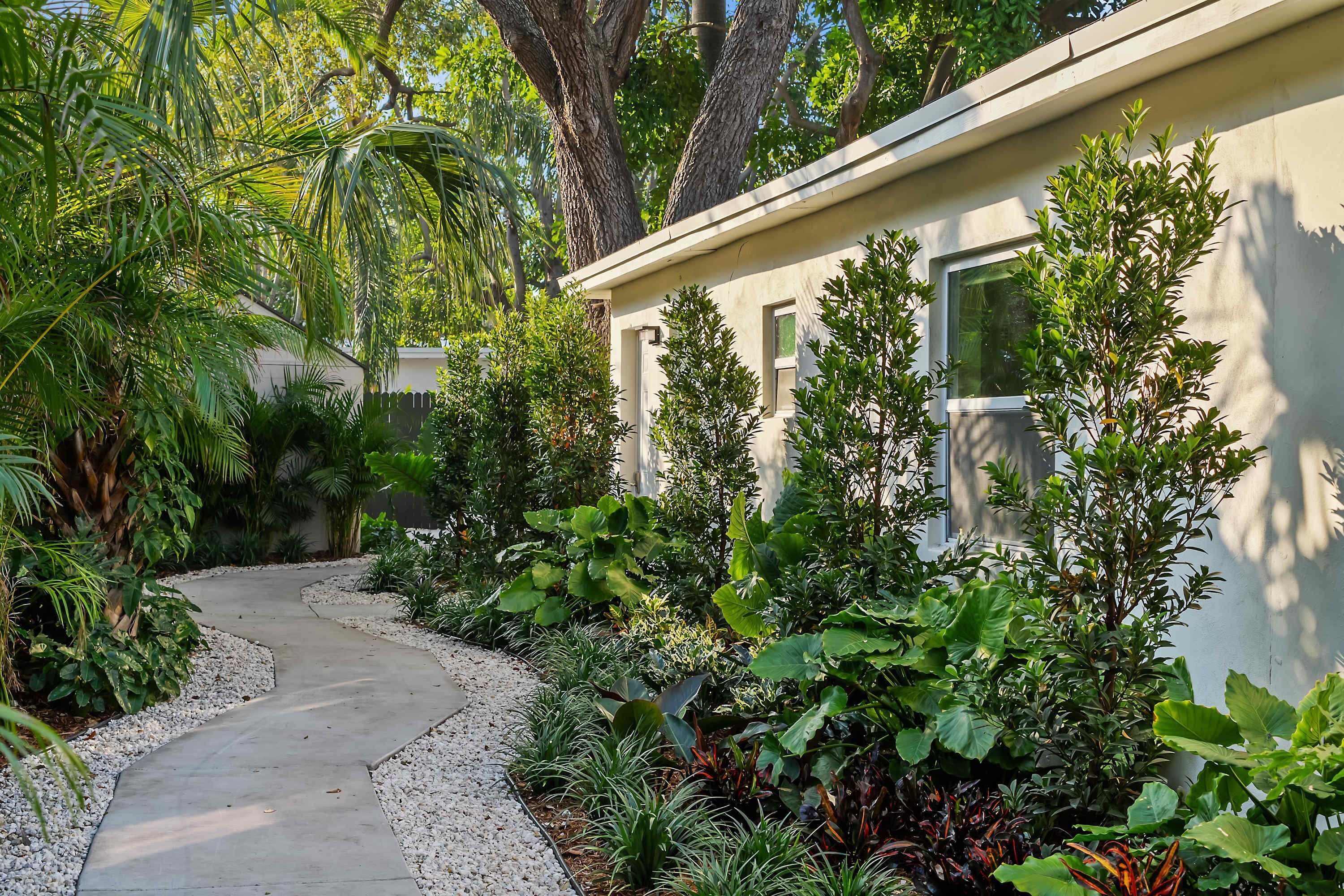 A concrete pathway leading to a building with multiple windows, surrounded by lush greenery and trees.