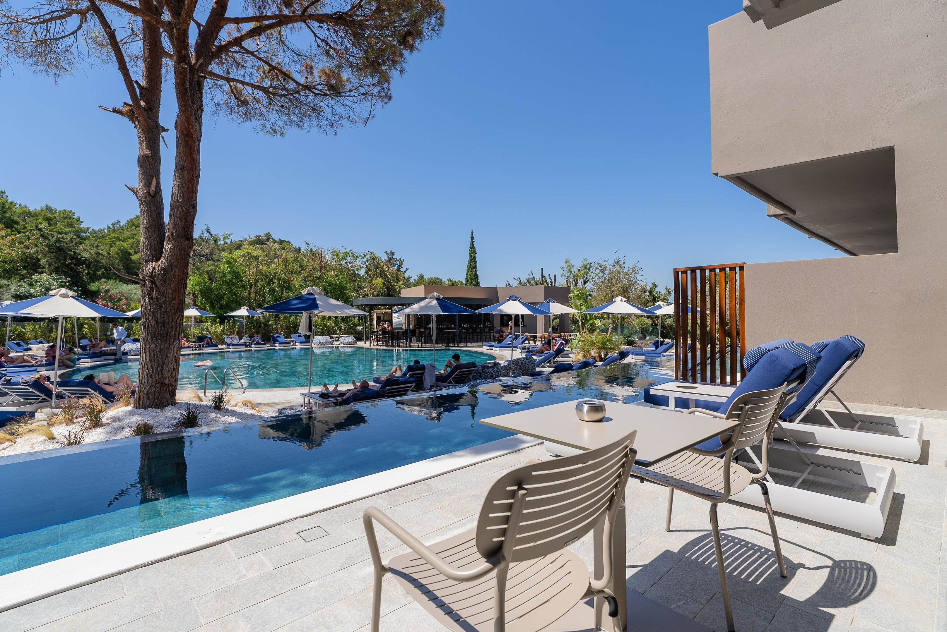 A pool area with lounge chairs and umbrellas, surrounded by trees and a clear sky.