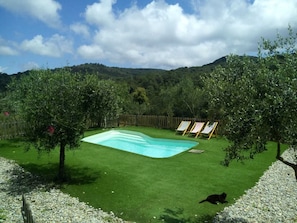 A backyard with a swimming pool, a wooden fence, and a cat.