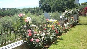 Un cimitero con una varietà di fiori colorati e un muro di pietra.