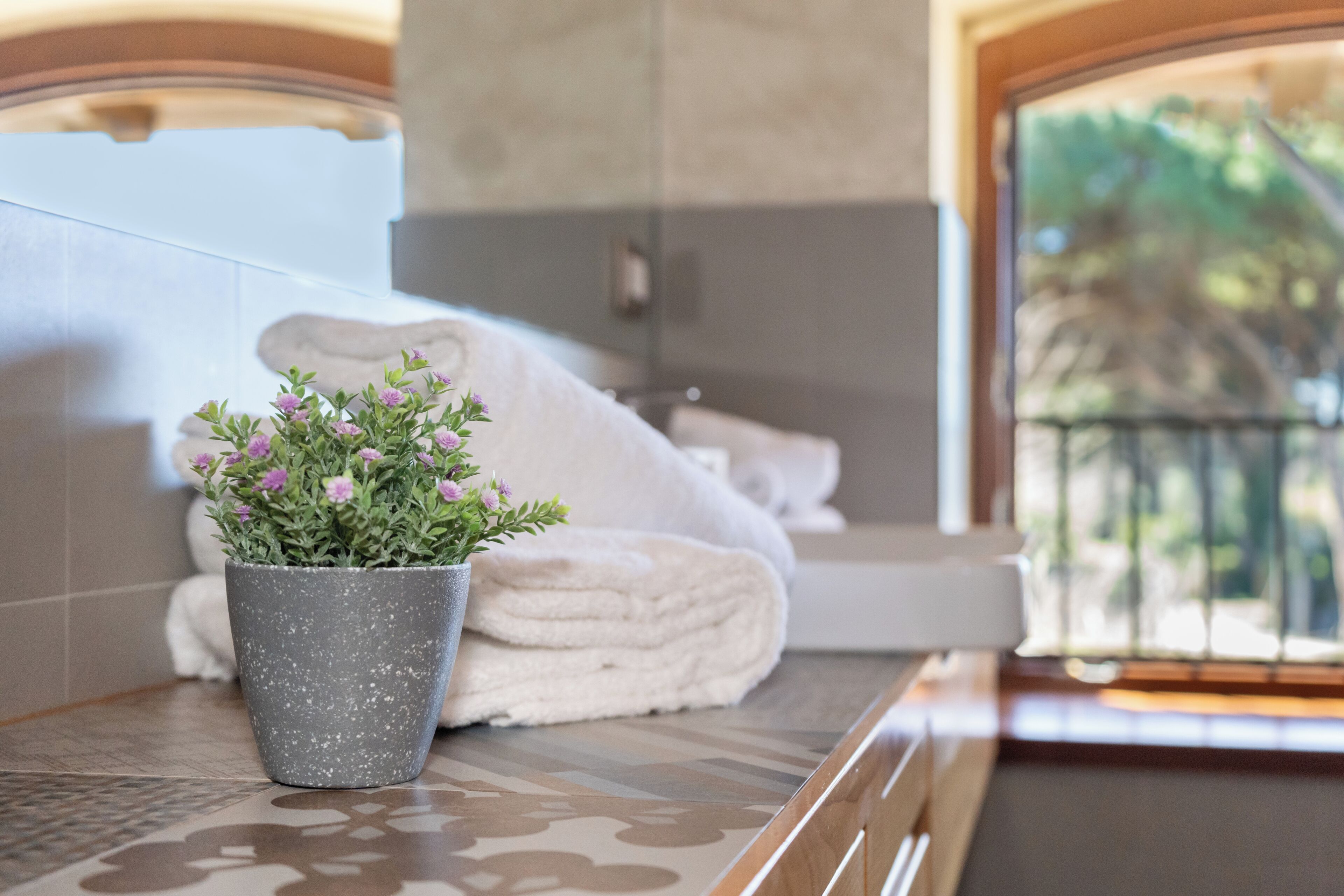 Deluxe kamer, uitzicht op tuin | Badkamer