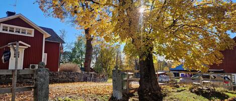 Un bâtiment rouge avec un mur en pierre et un arbre aux feuilles jaunes devant.