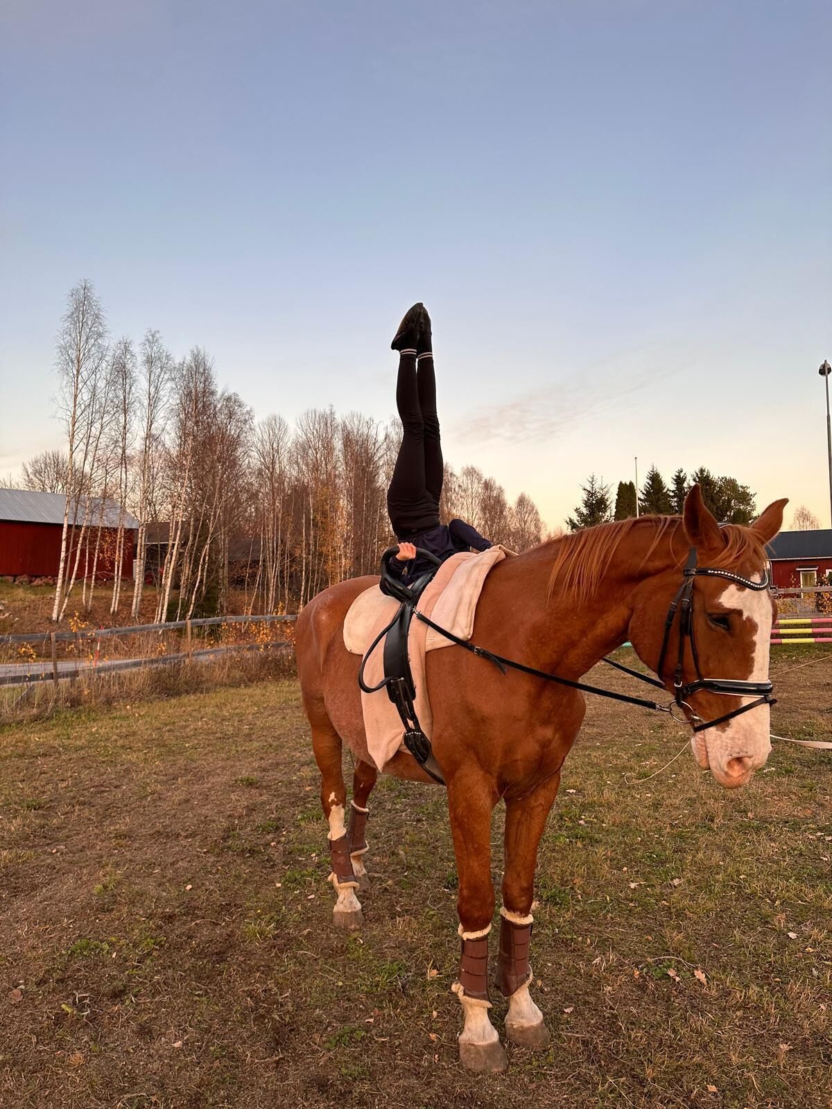 Paseos a caballo