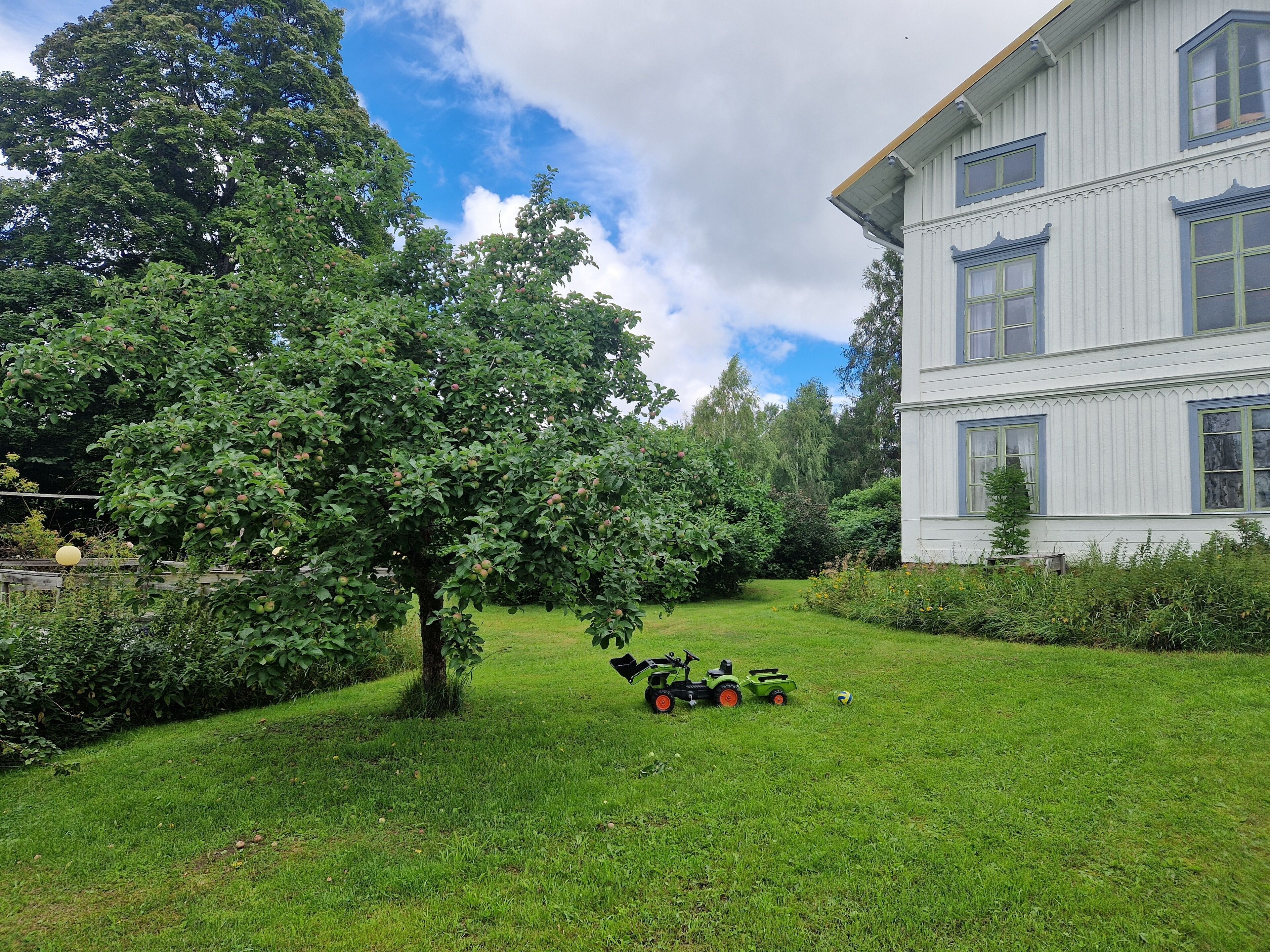 A grassy yard with a tree and a lawnmower.