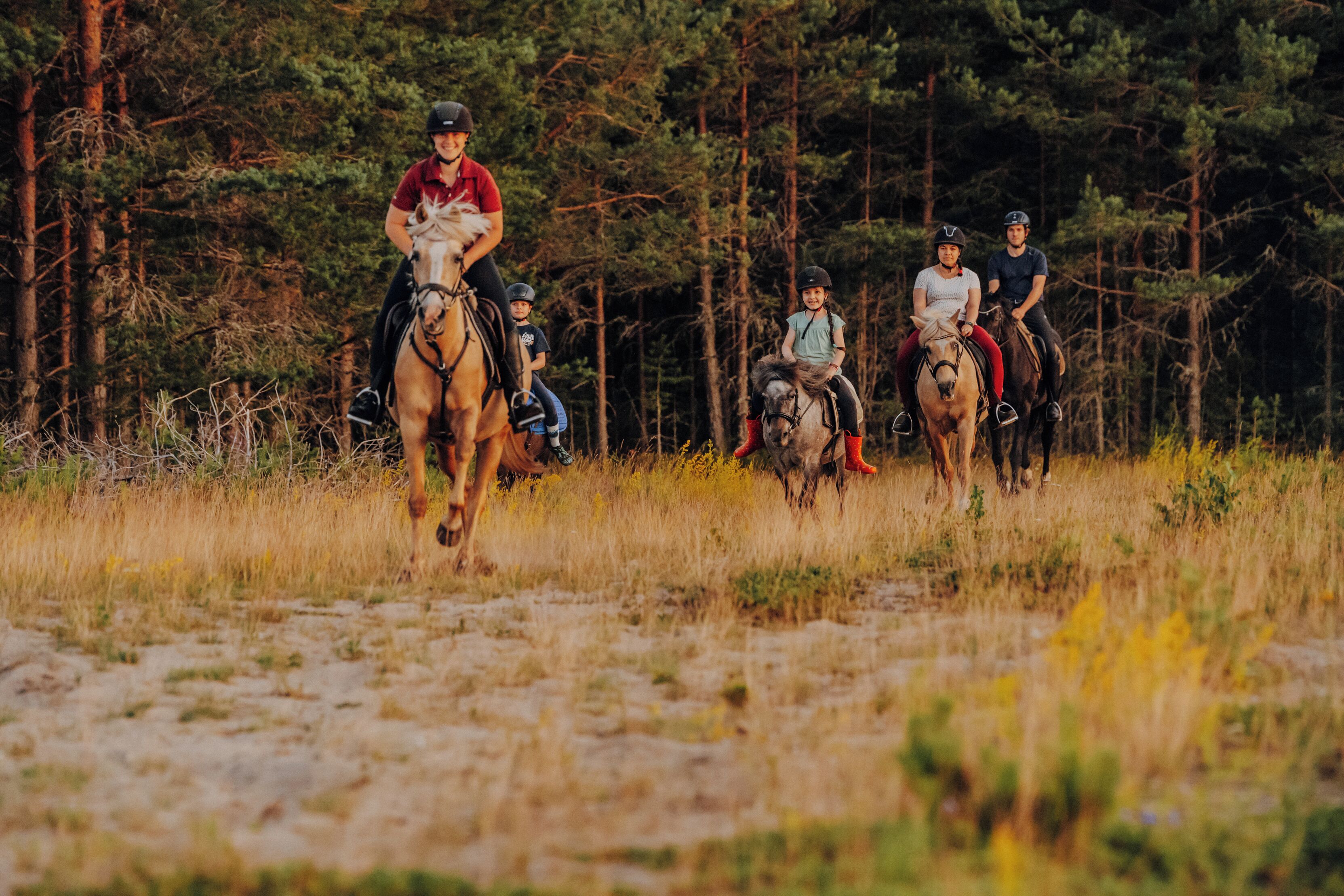 Un grupo de personas montando a caballo en un área boscosa.