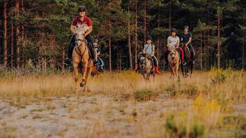 Un grupo de personas montando a caballo en un área boscosa.