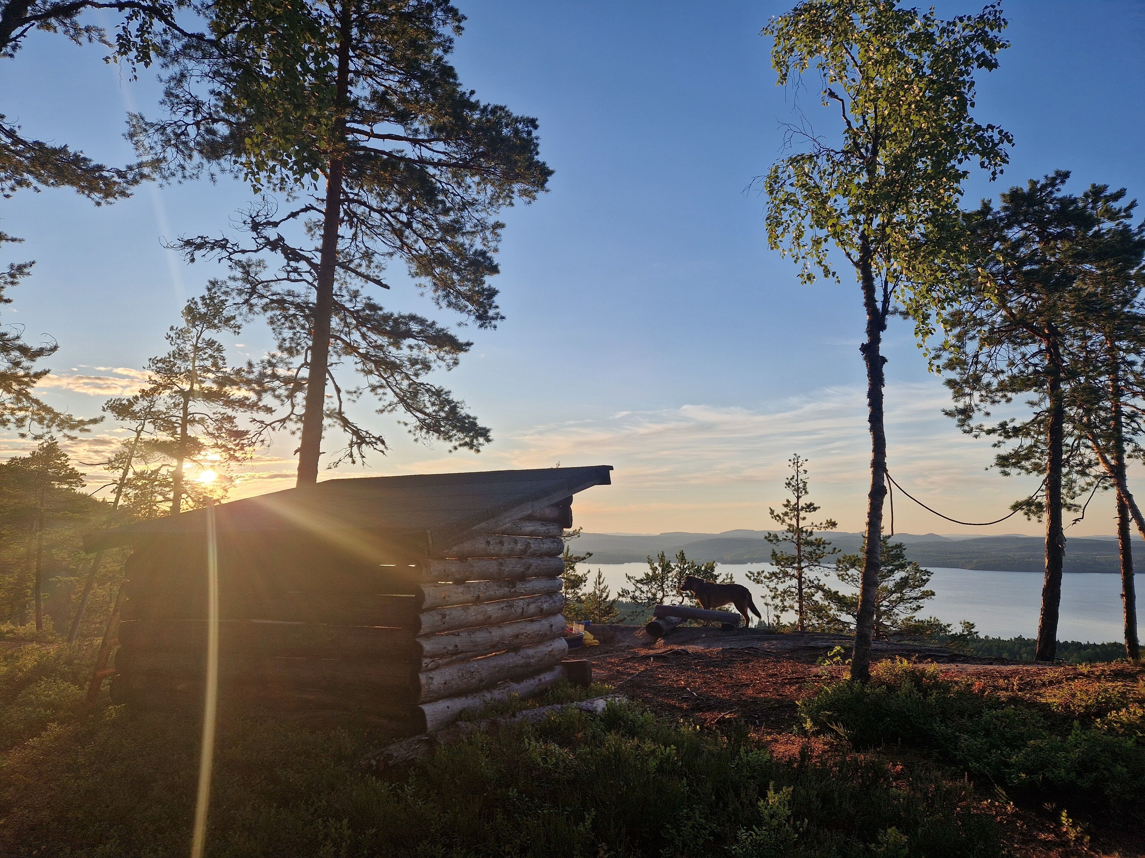A rustic cabin with a log exterior, surrounded by tall pine trees and a view of a lake and distant mountains.