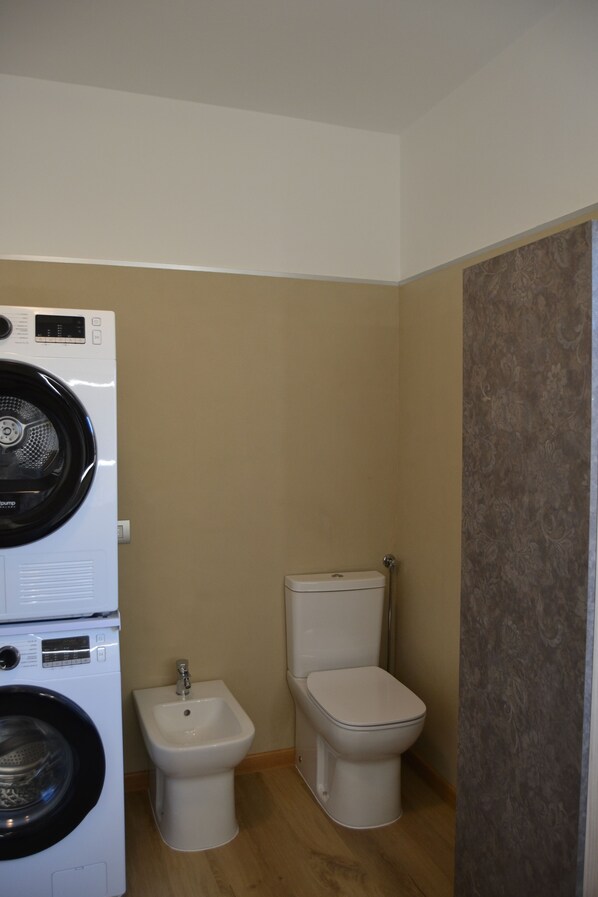 Shower, hair dryer, bidet, towels