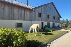 A stable with a horse grazing, a green slide, and a picnic table. - L'Éden – A 4-star vacation rental measuring 90 m² in the heart of a 3-hectare estate, accommodating 8 guests (Laviron)