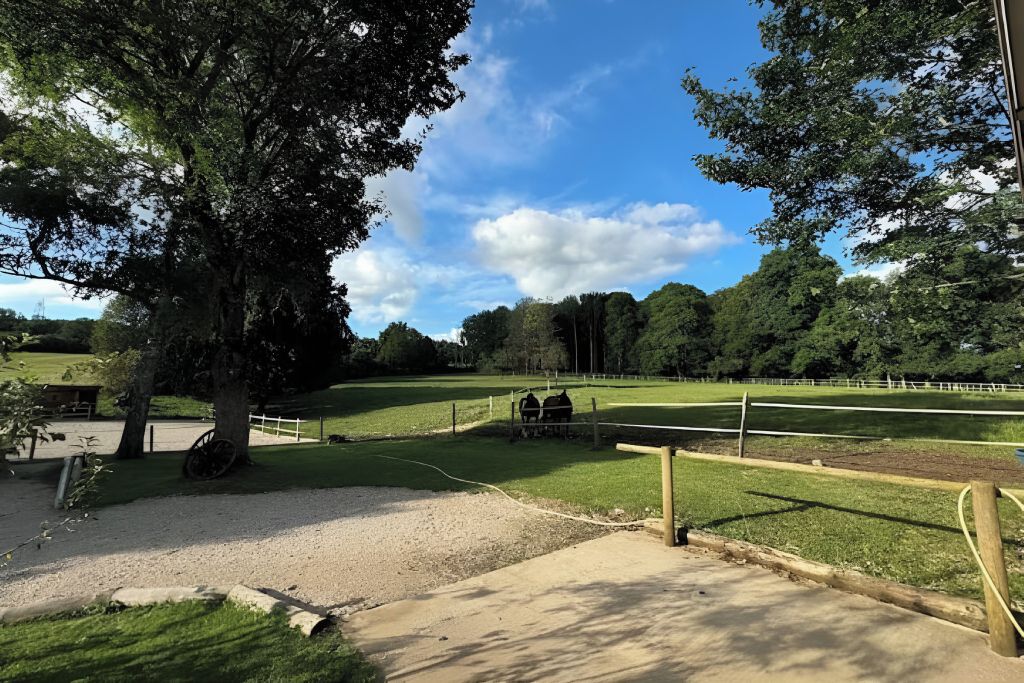 A fenced outdoor area with a gravel path, trees, and a clear sky.