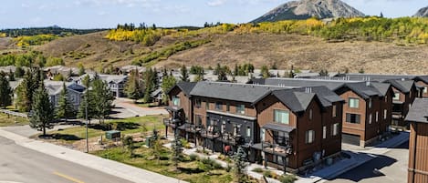 A modern multi-story building with a flat roof and large windows, surrounded by a well-maintained lawn and a road.
