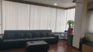 A living room with a dark-colored sofa, a coffee table, and a potted plant.