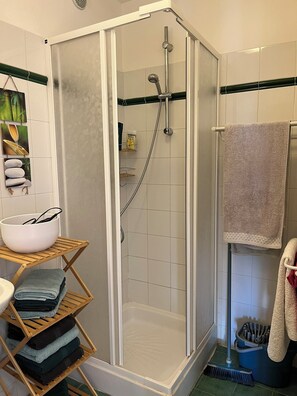 Shower, hair dryer, towels