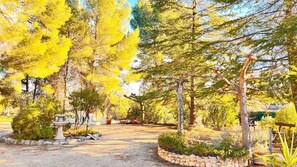 Jardines del alojamiento