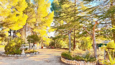 Your peaceful escape surrounded by nature in the hills of Ontinyent.