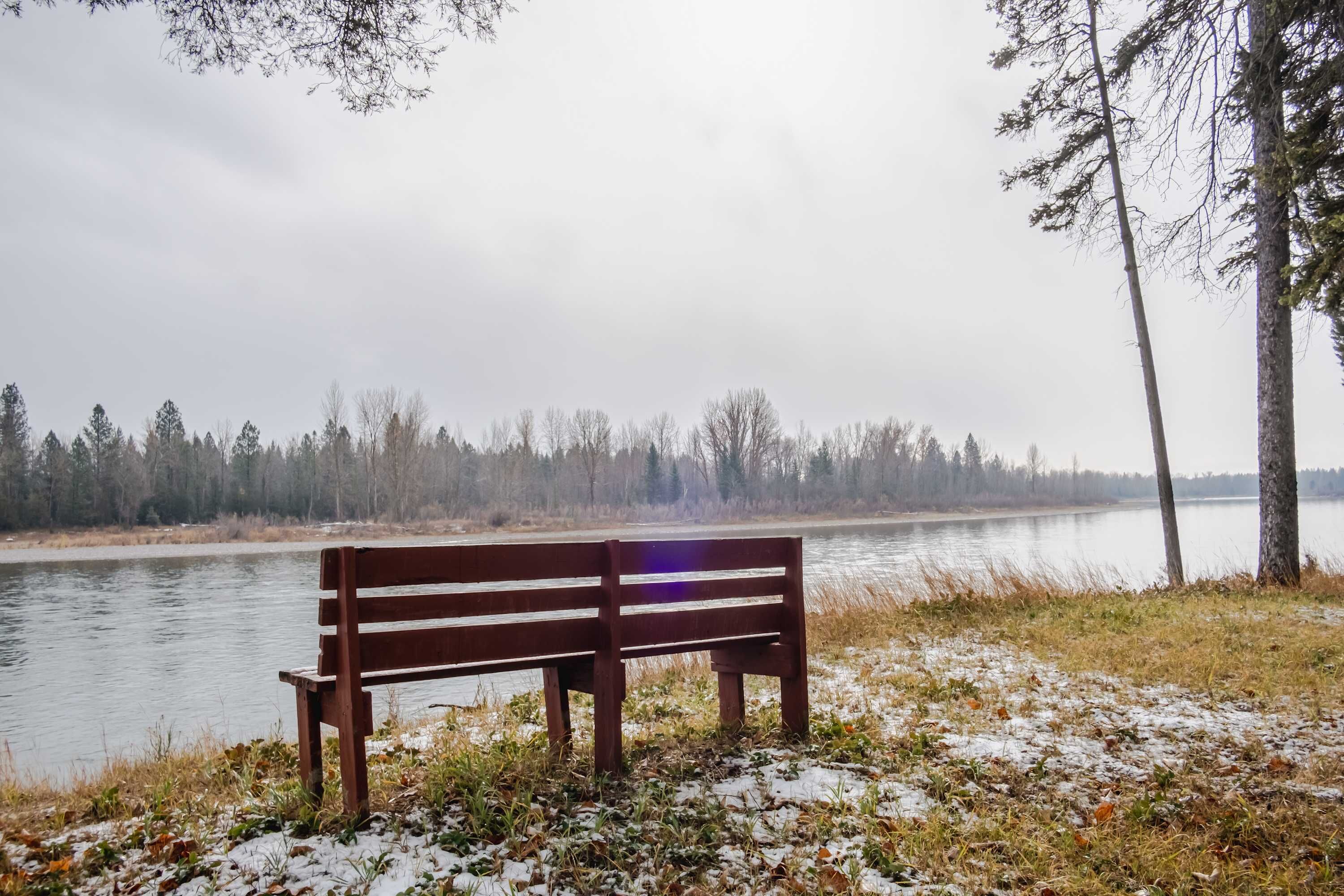 Un banc en bois au bord d’une rivière, avec des arbres en arrière-plan.
