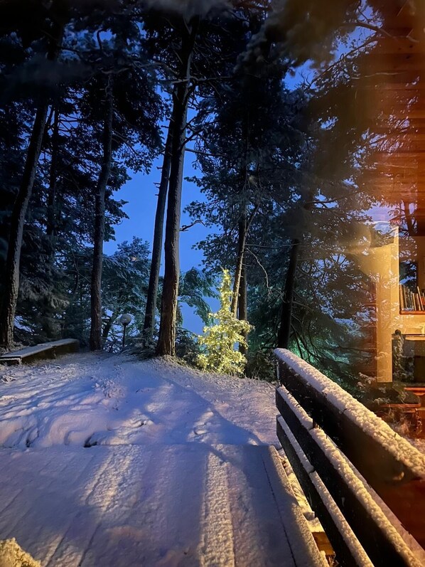 Área da propriedade